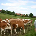 Szálloda Beim Huber In